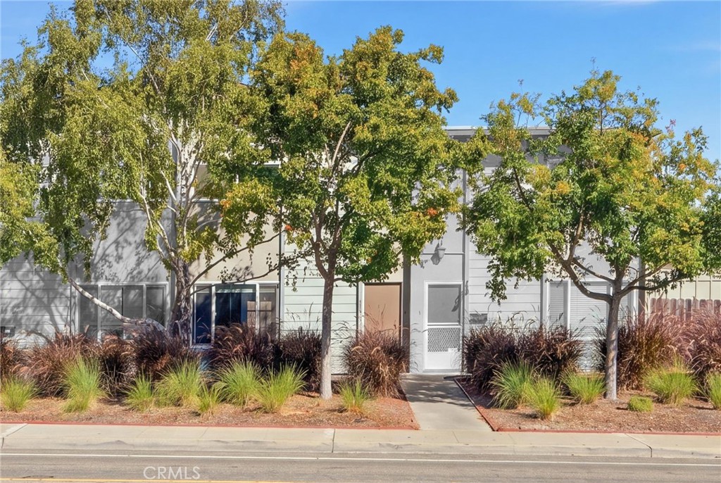 1163 Laurel Lane