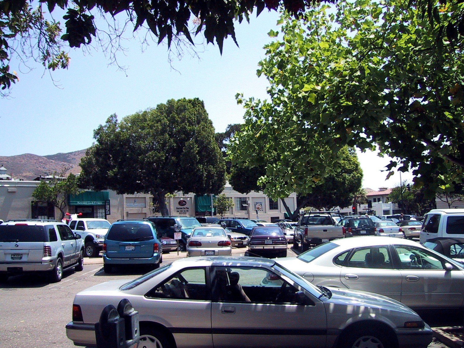 Parked cars and trees in the Court Street parking lot on August 1, 2003