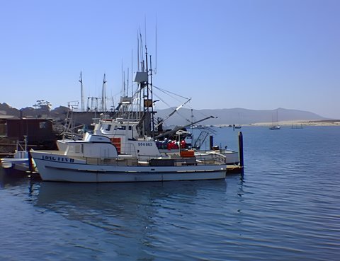 Morro Bay, 1996 — photo 6