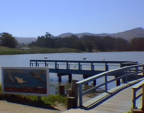 Los Osos and Montaña de Oro, 1996 — photo 2
